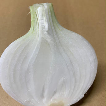 白剥き新玉ねぎ5kg🧅お買い得‼️淡路島新玉ねぎ白剥き!主婦の味方❗️生ゴミ無し❗️即使える🧅特別栽培農産物 白剥き新玉ねぎ5kg 野菜/玉ねぎ通販