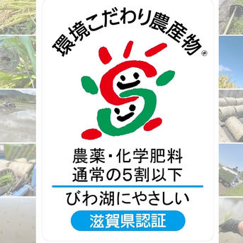 【R6年新米】減農薬栽培米キヌヒカリ 新米】R6年度 キヌヒカリ 玄米 30キロ〔梱包込み〕