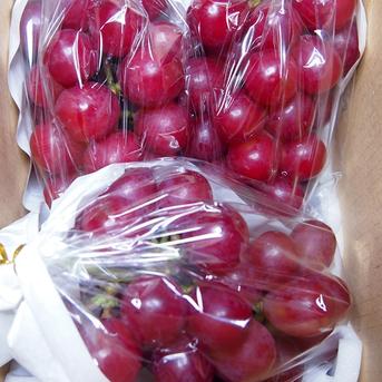 直ぐ発送：柑橘のような爽やかさ！コトピー(2～3房、約1kg)長野県認証