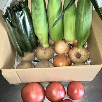 ひとみ農園おまかせ野菜セット　段ボール100㎝サイズ 約6㎏(内容によって差があります) 野菜/野菜セット・詰め合わせ通販