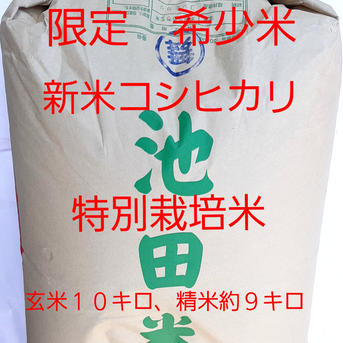 限定希少米】 令和7年産 福井県池田町産 特別栽培米 コシヒカリ 精米