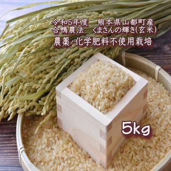 令和5年度★玄米★米作り名人【完ちゃん】の農薬・化学肥料不使用栽培くまさんの輝き5kg くまさんの輝き（玄米）5kg 米・穀物/玄米通販