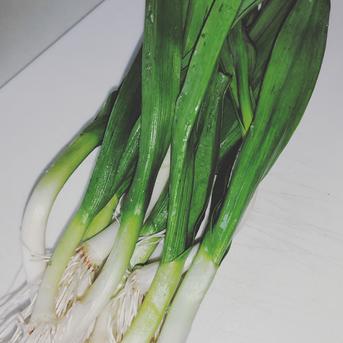 葉にんにく　300ｇ✕２パック 300ｇ✕２パック 野菜/にんにく通販