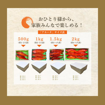 漁師直送！アカハタ　２kg ２㎏　4匹～8匹 魚介類/アカハタ通販