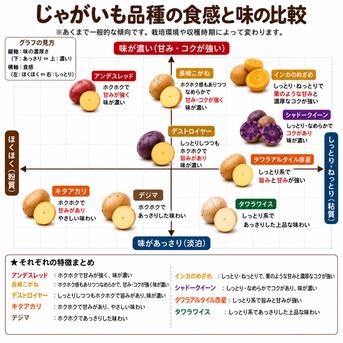 無農薬】希少品種じゃがいも5種贅沢食べ比べセット（デストロイヤー他