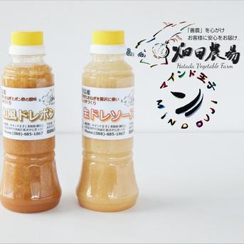 【健康志向】玉葱たっぷり 料理人手作りドレッシング「生ドレソース」「和風ドレポン」２種 60ｻｲｽﾞ／ドレッシング２種 調味料/ソース通販