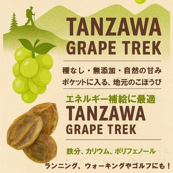 ぶどう10枚 TANZAWA GRAPE TREK シャインマスカット10g×5パック | 加工品/その他