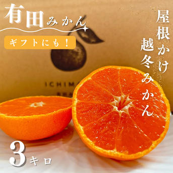 超完熟宮川早生】屋根かけ越冬みかん 3キロSサイズ ギフトにも 有田