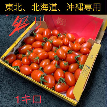 アイコ祭り【東北、北海道、沖縄の方専用】 1キロ  野菜/トマト通販