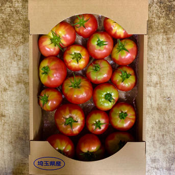 新井園のヘタ青トマト約4Kg×2箱 約4Kg×2箱 野菜/トマト通販