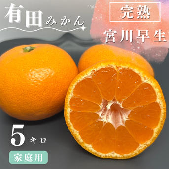 完熟】有田みかん 5キロSサイズ 家庭用 温州みかん 宮川早生 早生