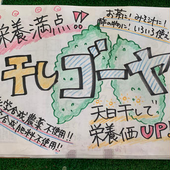 67％増量‼︎ 栄養満点♡ 干しゴーヤー50ｇ 50g 野菜/野菜の加工品通販
