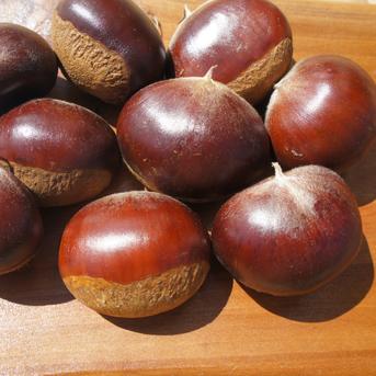 利平栗渋皮　モン 楽天市場】今季最終販売！＼お買い物マラソン 24日 20:00