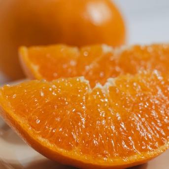 贈答用】柑橘の大トロ せとか 2kg ～とろける濃厚果実～ ｜ 果物