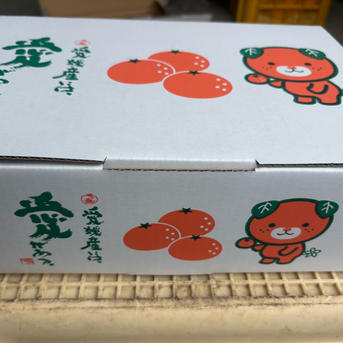 野菜、果物 □愛媛の不知火□家庭用□除草剤使用無 万田酵素散布□20k箱□