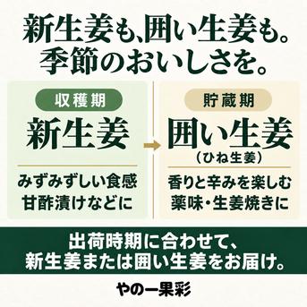 先行予約・11月5日発送開始】高知県産 土付き新生姜 4kg｜やの一果彩