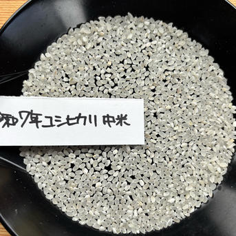 令和七年新潟県産コシヒカリ中米 | 米・穀物/米/精米 産直アウル 農家