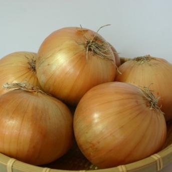 北海道産 玉ねぎL-2L 20kg 産地直送 辛みが少なく瑞々しい！ ｜ 野菜
