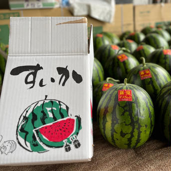 期間限定　羅皇ザ・スウィート　大玉スイカ　祭ばやし3L 2玉入 3L 2玉入 果物/スイカ通販