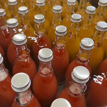 お中元にも】愛媛県産オーガニック柑橘100%使用ストレートジュース 