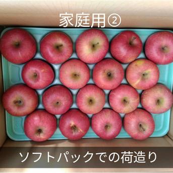 春りんご☆サンふじ30キロ☆長野地元民が春になったら食べるりんご☆スッキリな甘み 春りんご】信州産サンふじ約4.8kg ｜ 果物/りんご 産直アウル 農家
