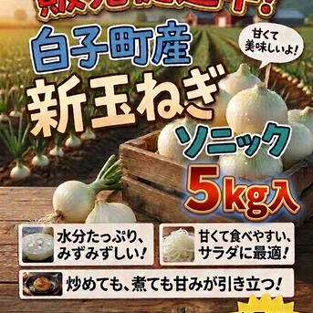 千葉県白子町産 新玉ねぎ ソニック 5kg ｜ 野菜/玉ねぎ 産直アウル