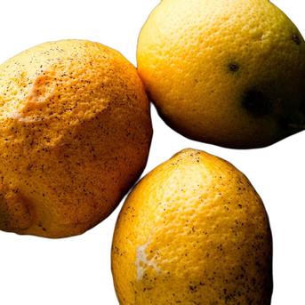 広島県産 瀬戸田レモン 2㎏ C品（訳あり） 有機JAS法準拠栽培 | 果物