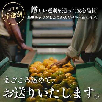大玉サイズ限定】五代目が厳選した愛媛みかん 10kg ｜ 果物/温州みかん