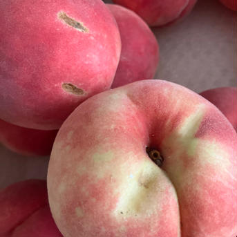 🆒クール便🆒【南アルプスの桃🍑幸茜】4キロ 減農薬/無肥料
