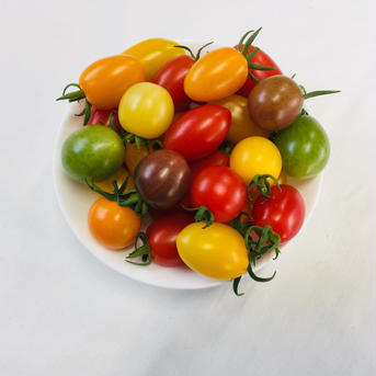 『ぷちぷよ入り』彩りミニトマト2.5kg 2.5kg 野菜/トマト通販
