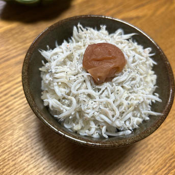 梅農家が作った梅干し　紀州南高梅　400ｇ　Ｂ品　２Ｌ　白干し梅 白干し南高梅、梅干し400ｇ 加工品/梅干通販
