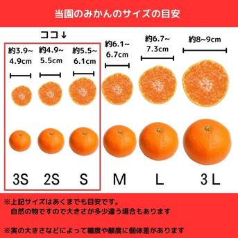 甘すぎる有田みかん 最高級 4kg 少農薬 地元から愛される新品種YN26 4kg 果物/温州みかん通販