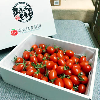 【北陸・東海地方限定‼︎】熊本県産 完熟アイコ『おるげんとまと』3kg 3kg 野菜/トマト通販