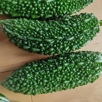 大自然の恵み｜朝採れ夏野菜5品おまかせセット｜夏の旬をまるごと