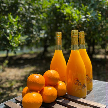 太陽と海の🍊ブレンドジュース2本セット🍊 720ml×2 飲料/ジュース通販