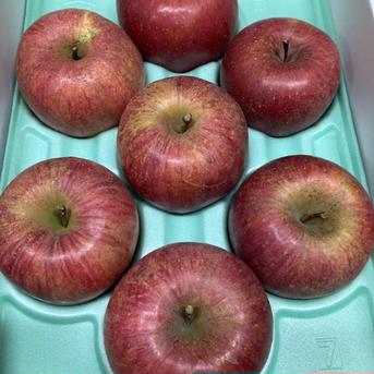 4箱分！3キロ6-9玉×4箱 蜜入チェック済み 大玉葉取らず減農薬栽培サン