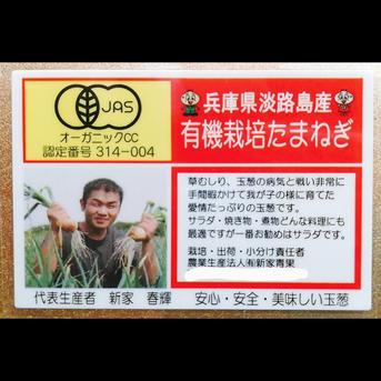 訳ありセール淡路島産有機栽培たまねぎ 5kg JAS有機農業オーガニック玉葱タマネギ玉ねぎオニオン 5kg 野菜/玉ねぎ通販