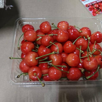 2箱分葉取らず減農薬栽培　佐藤錦さくらんぼ500g×2パック実際には530g×2パック入×2箱　家庭用クール便 2箱分500g×2パック×2箱 果物/さくらんぼ通販