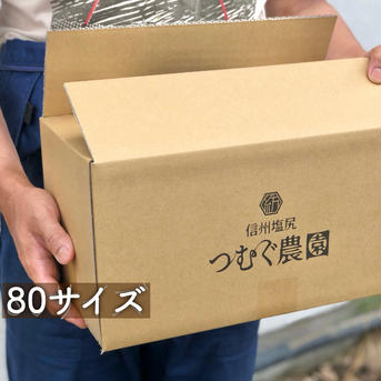 [Mサイズ]信州産｜｢糖もろこし｣の兄弟品種！瑞々しく甘いフルーツコーン 80サイズ箱に入るだけ(LM混合14～16本目安) 野菜/とうもろこし通販