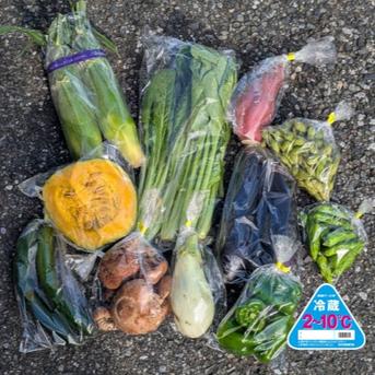 【中国地方・四国地方へ配送の方】80サイズ箱いっぱい房総旬野菜詰め合わせ（80サイズ箱） 80サイズ箱いっぱい 野菜/野菜セット・詰め合わせ通販