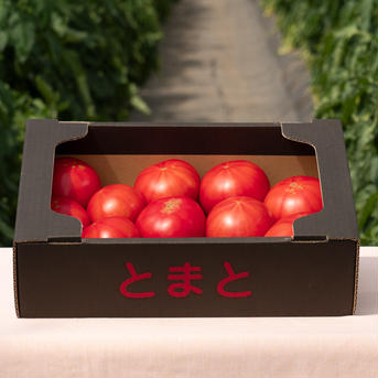 【北海道産】🍅樹上熟3段採り🍅桃太郎トマト 訳あり/ 2kg箱 訳あり2kg 野菜/トマト通販