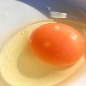 とろっとした食感が美味しいプリン（5個）と「黒麹育ち赤卵30個」のセット プリン5個、枯草菌・赤卵30個 卵/卵セット・詰め合わせ通販
