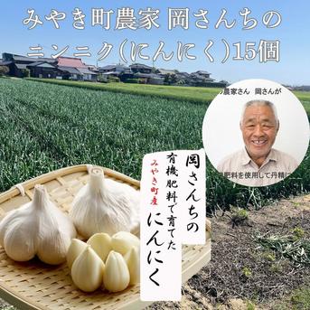 佐賀県みやき町岡さんちのニンニク（にんにく）15個 ｜ 野菜/にんにく