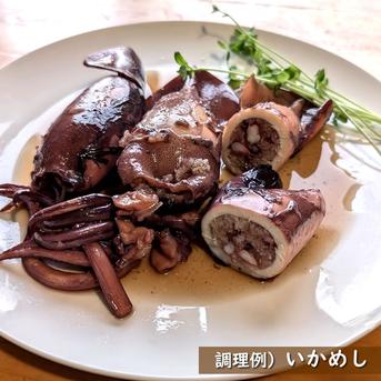 スルメイカ（冷凍）大　４杯×約400-499ｇ　個包装　お刺身OK！　塩辛作るならおすすめなサイズ感 大　４杯×約400-499ｇ 魚介類/イカ通販