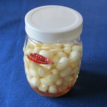 パリポリ食感がクセになる！泥付き生らっきょう～１Kg 500gパック×2個セット 野菜/その他野菜通販