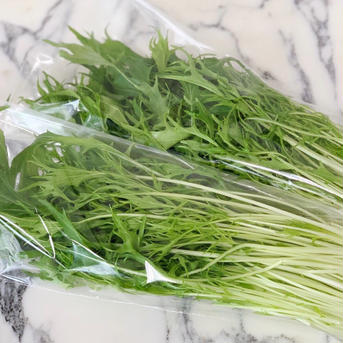 【お1人様限定☆】わくわく水耕野菜セット(レタス増量中!) 17〜18袋 野菜/野菜セット・詰め合わせ通販