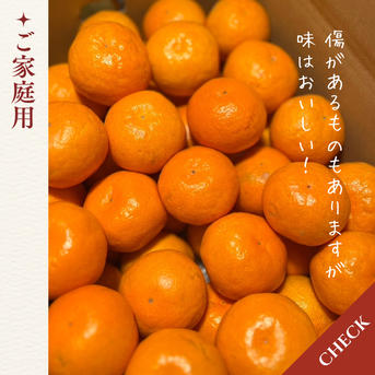 ゆら早生】 3キロ Mサイズ家庭用 極早生 有田みかん 低農薬 ｜ 果物
