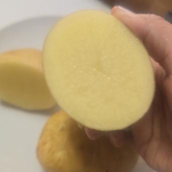 春一番新じゃが！馬鈴薯(ニシユタカ)2キロ(内容量1.8キロ) ｜ 野菜