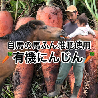 【農薬化学肥料不使用】葉付き人参15kg 葉付き人参15kg 野菜/人参通販