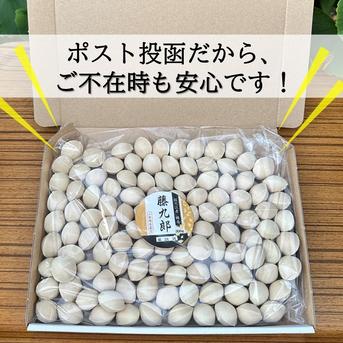 2025年新物 久寿 銀杏 ぎんなん 祖父江産 3L 3kg 2025年新物！ 愛知県 祖父江産 久寿ぎんなん 銀杏 3L 1kg ☆秋の